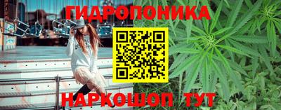 мяу мяу мука Заволжье