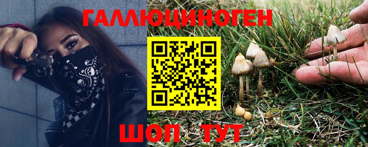 Галлюциногенные грибы Cubensis Волхов