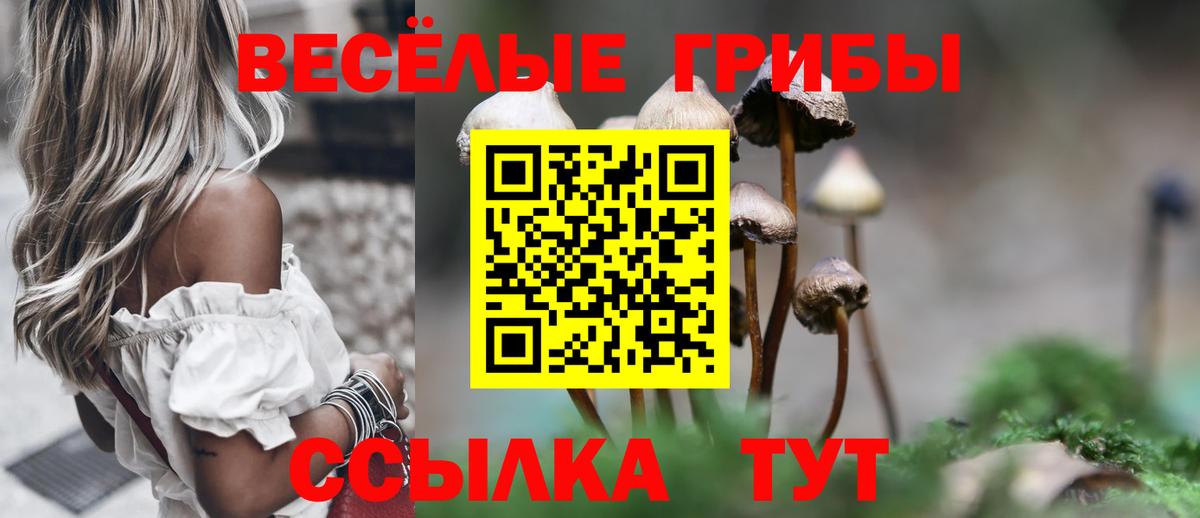 Псилоцибиновые грибы Magic Shrooms  Вход с VPN  Волхов 