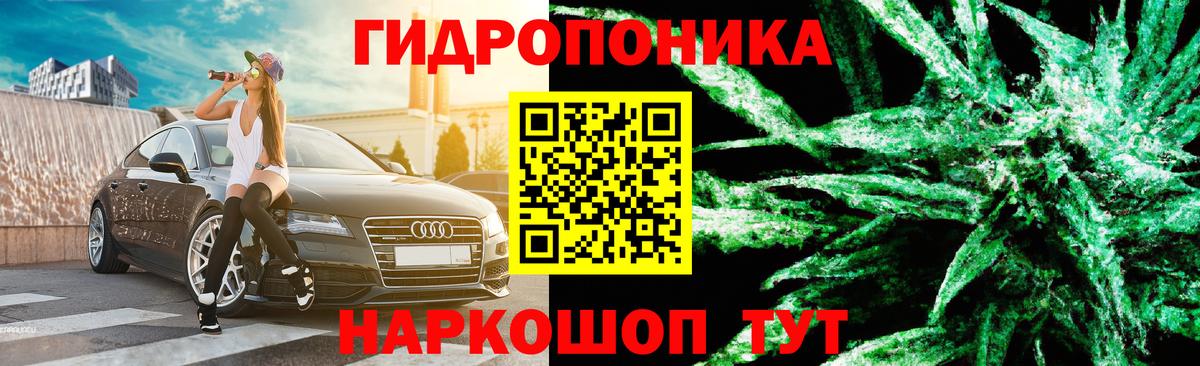 Волхов  Шишки марихуана MAZAR  Марихуана планчик  Конопля THC 21%  Вход с VPN 